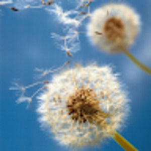 Meet your Posher, Tisha